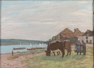 Vaches au paturage