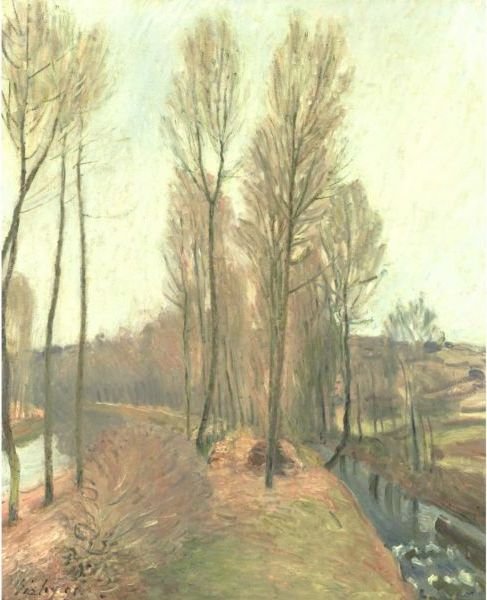 L'Orvanne Et Le Canal Du Loing En Hiver