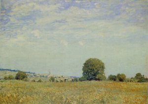 Fields at Saint Cloud