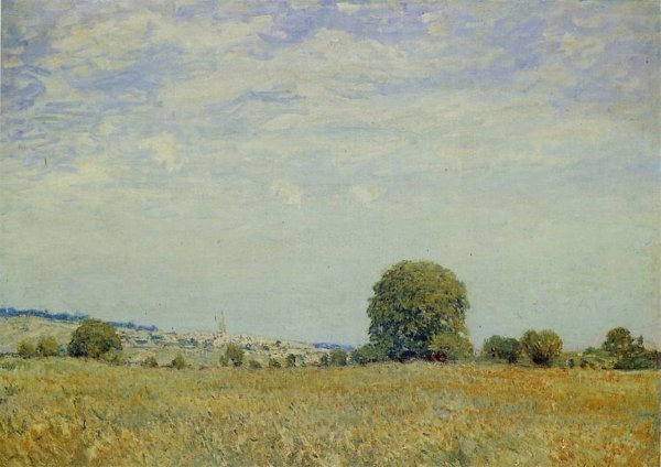 Fields at Saint Cloud