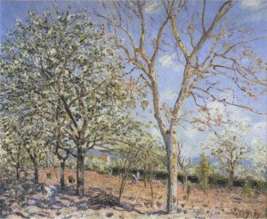 Plum and Walnut Trees in Spring