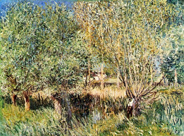 Willows on the Banks of the Orvanne